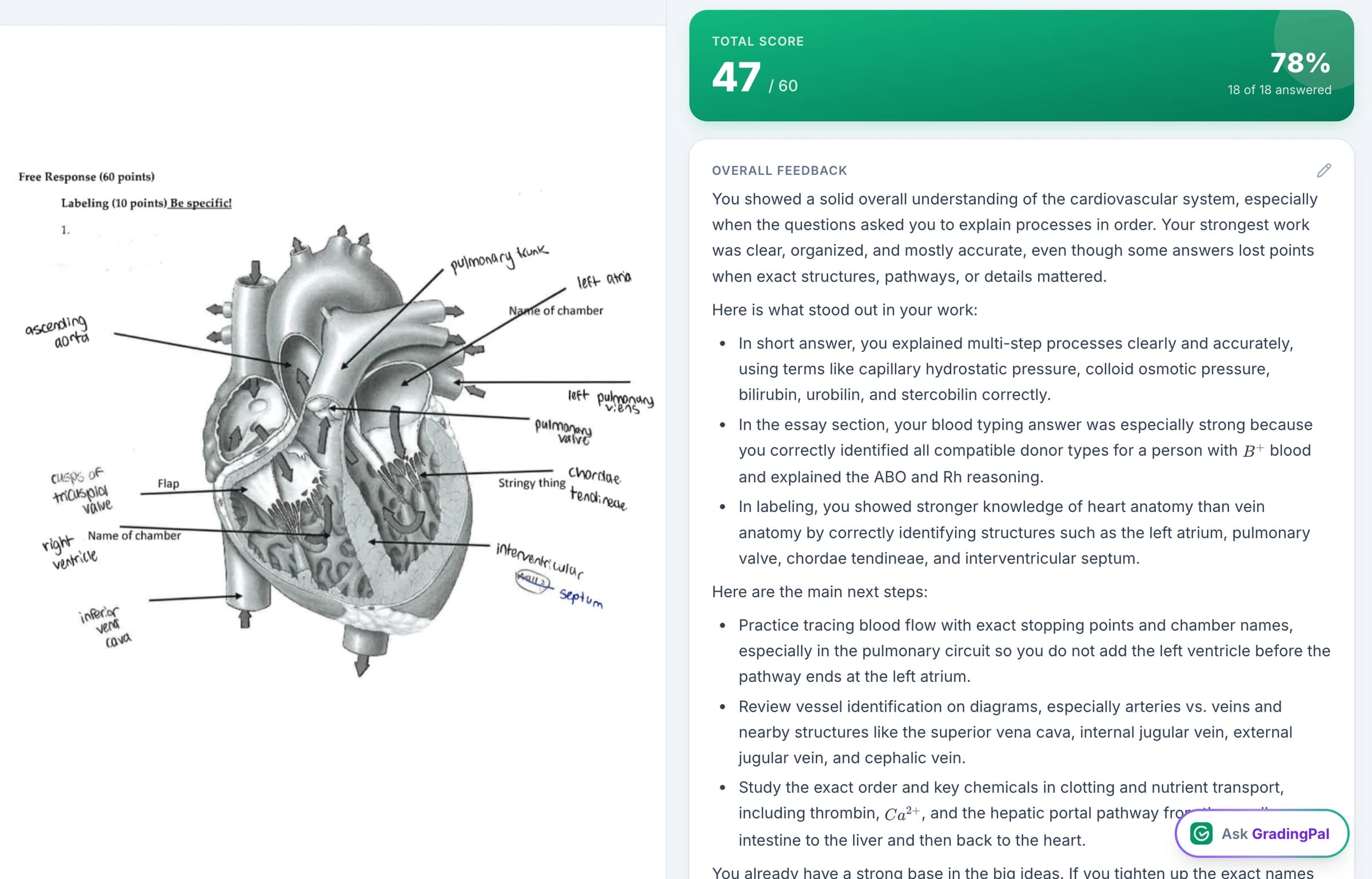 Science feedback beside a handwritten anatomy assignment.